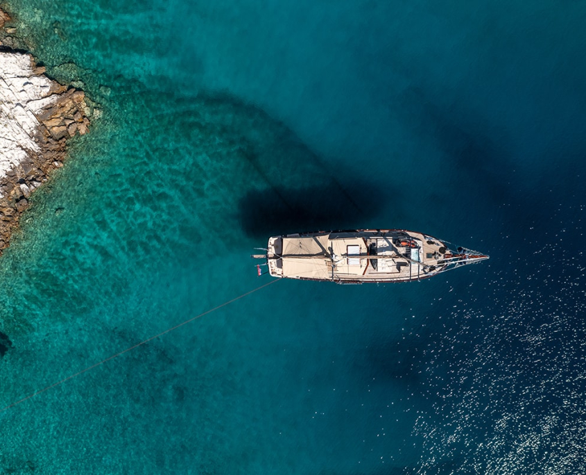 PACHA Aerial view