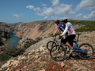 Biking cruise