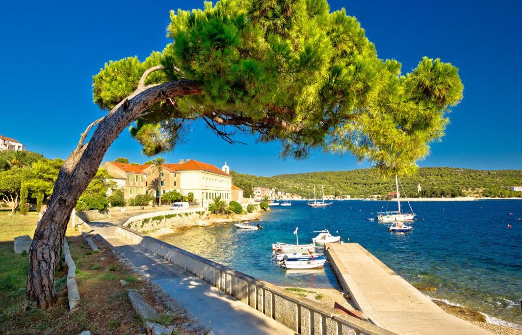 Island Of Vis